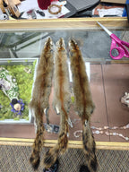 Tanned Pelts