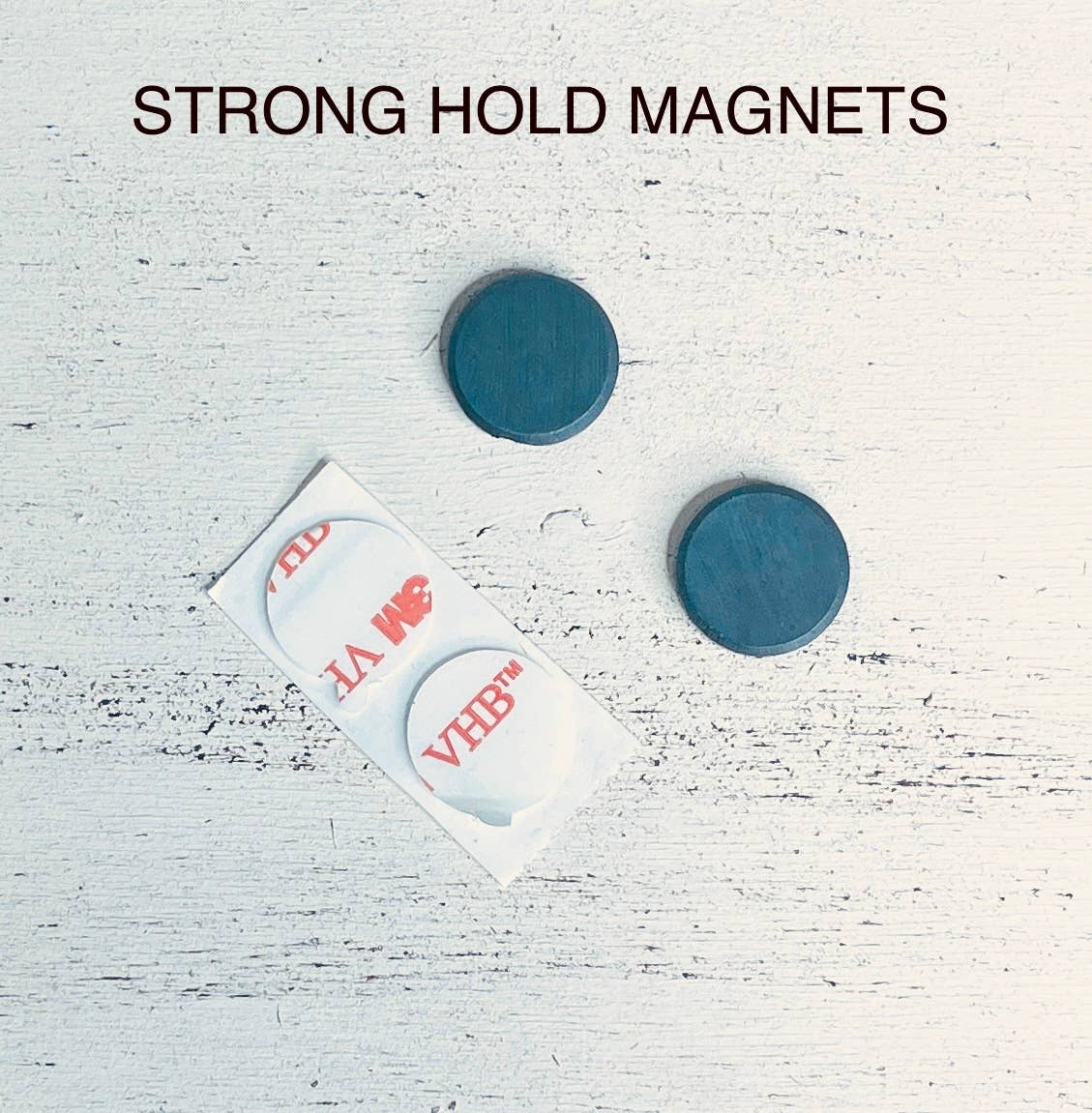 DIY Build a Lake Monster Magnet Kit