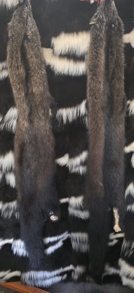 Tanned Pelts