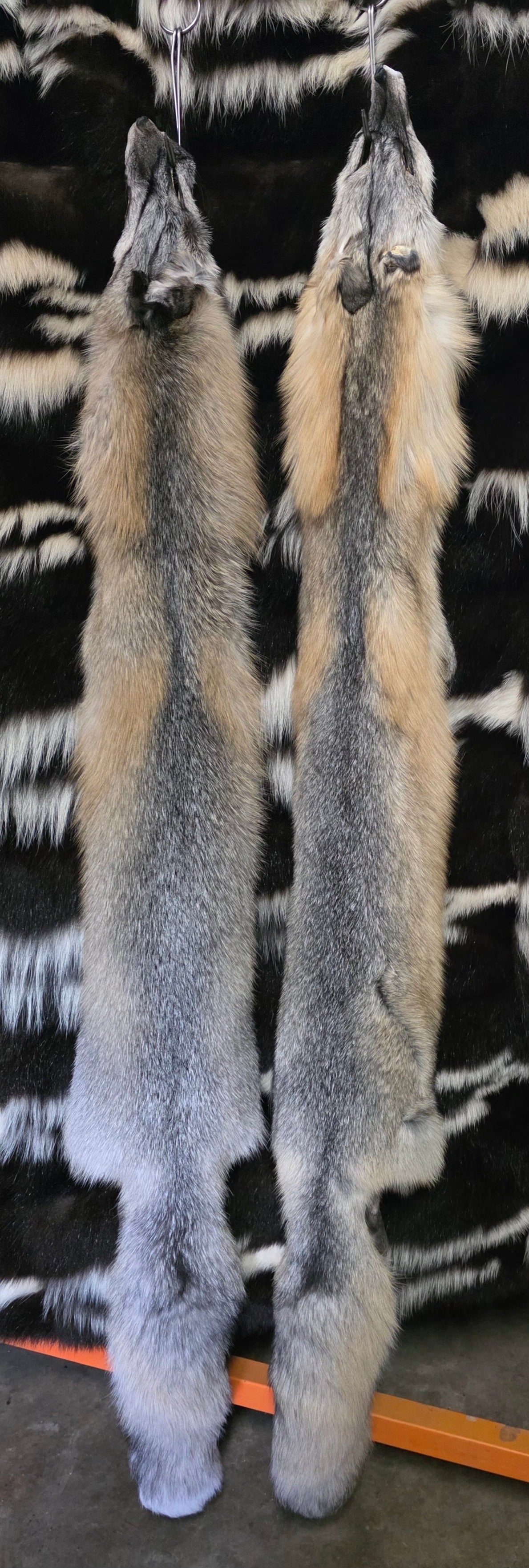 Tanned Pelts