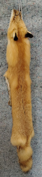 Tanned Pelts