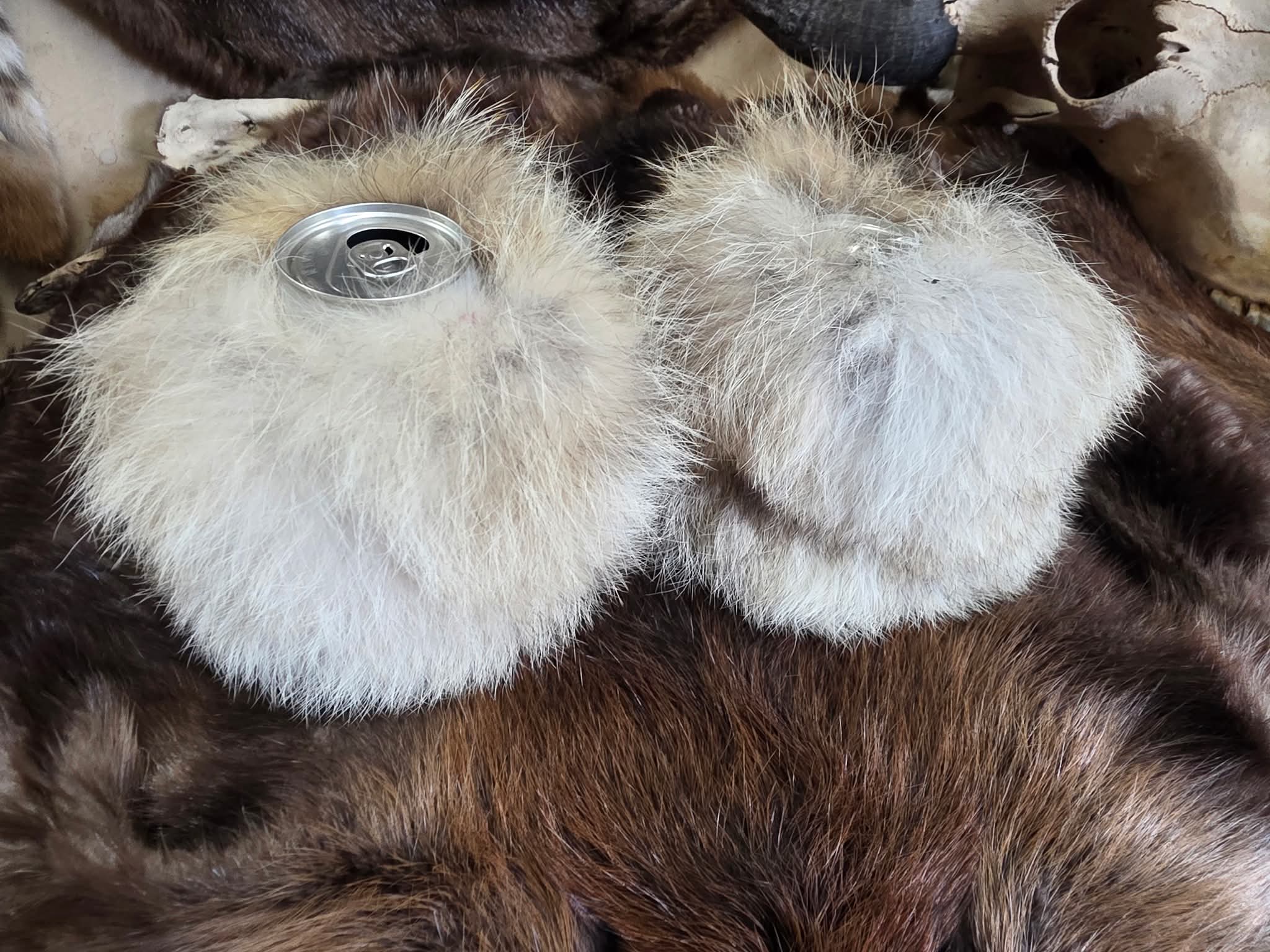 real animal pelt koozie