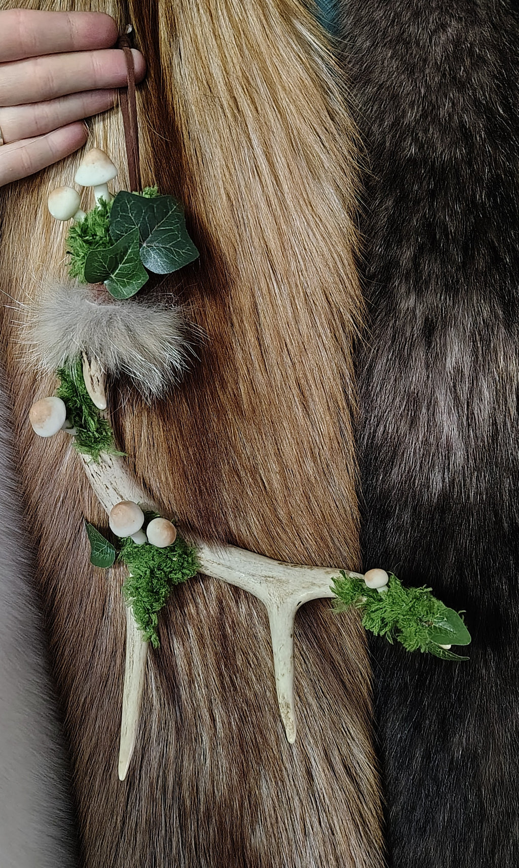 deer antler decor