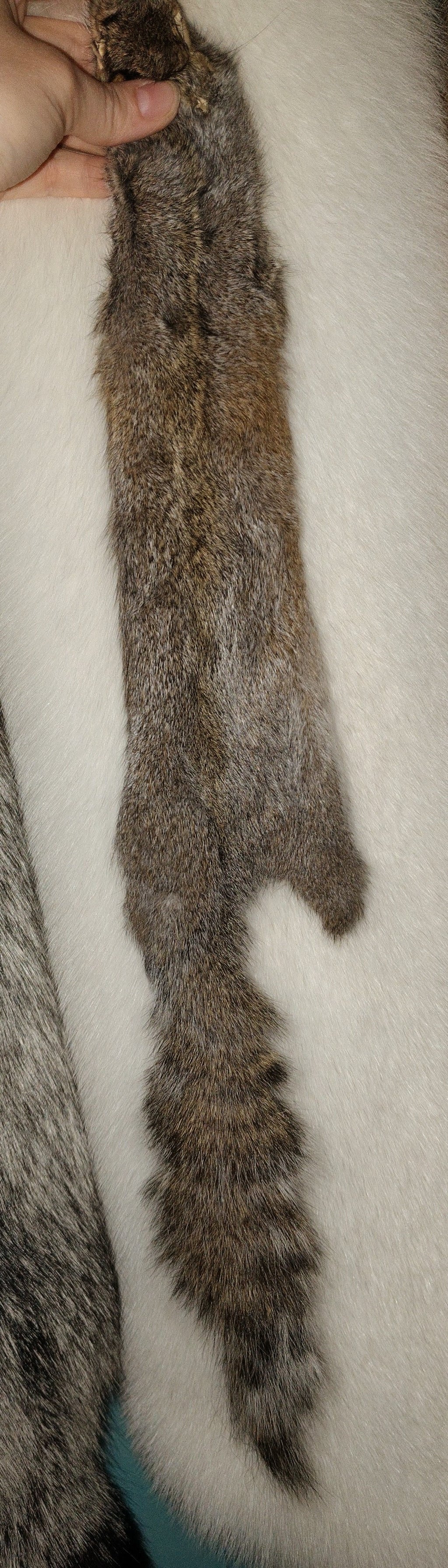 Tanned Pelts