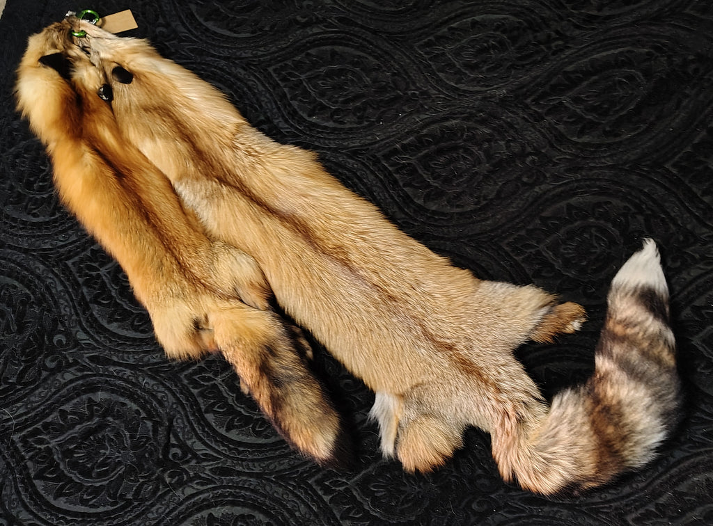 Tanned Pelts