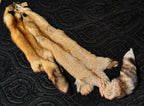 Tanned Pelts