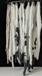 Tanned Pelts