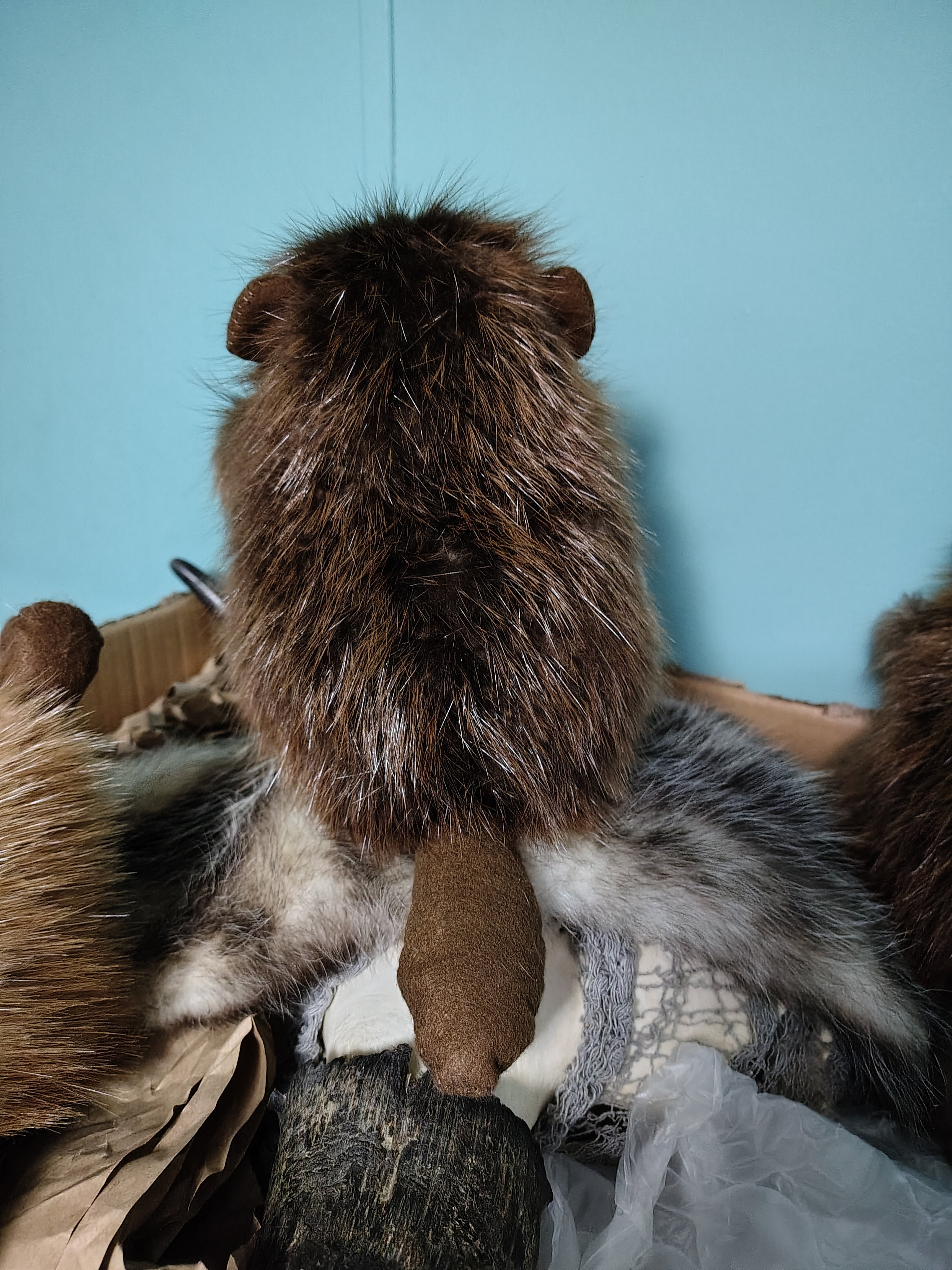 Real Beaver Fur Stuffed Animal