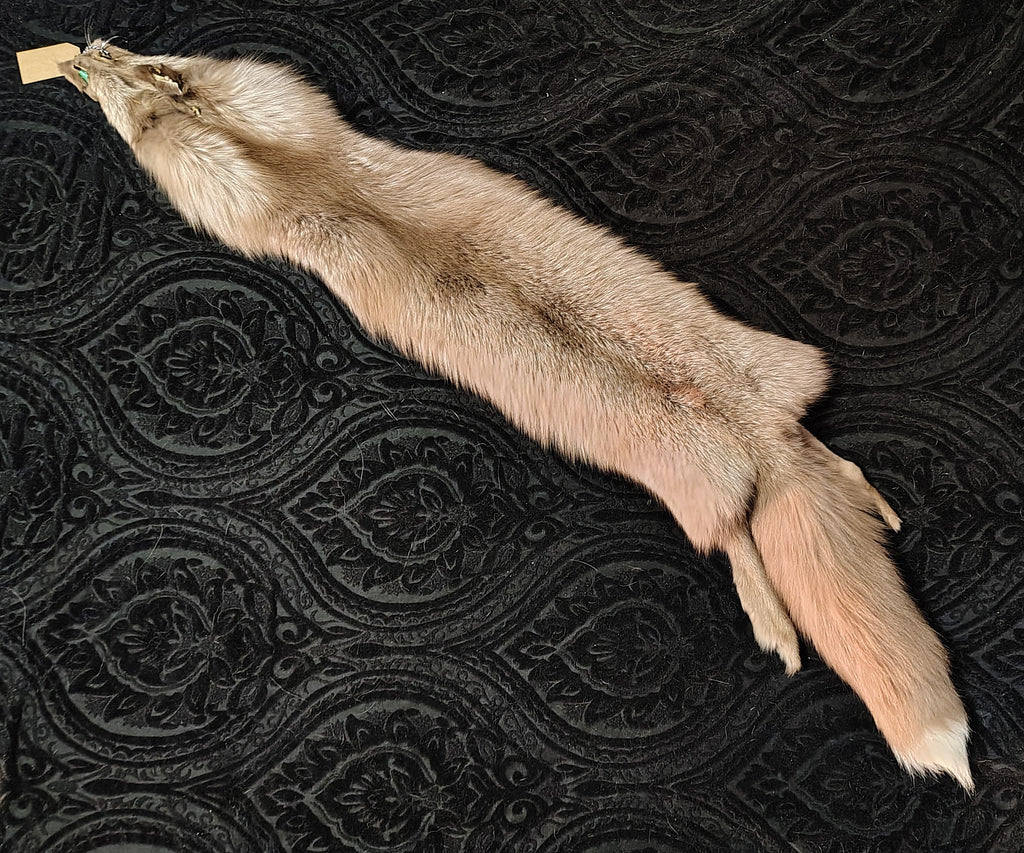 Tanned Pelts