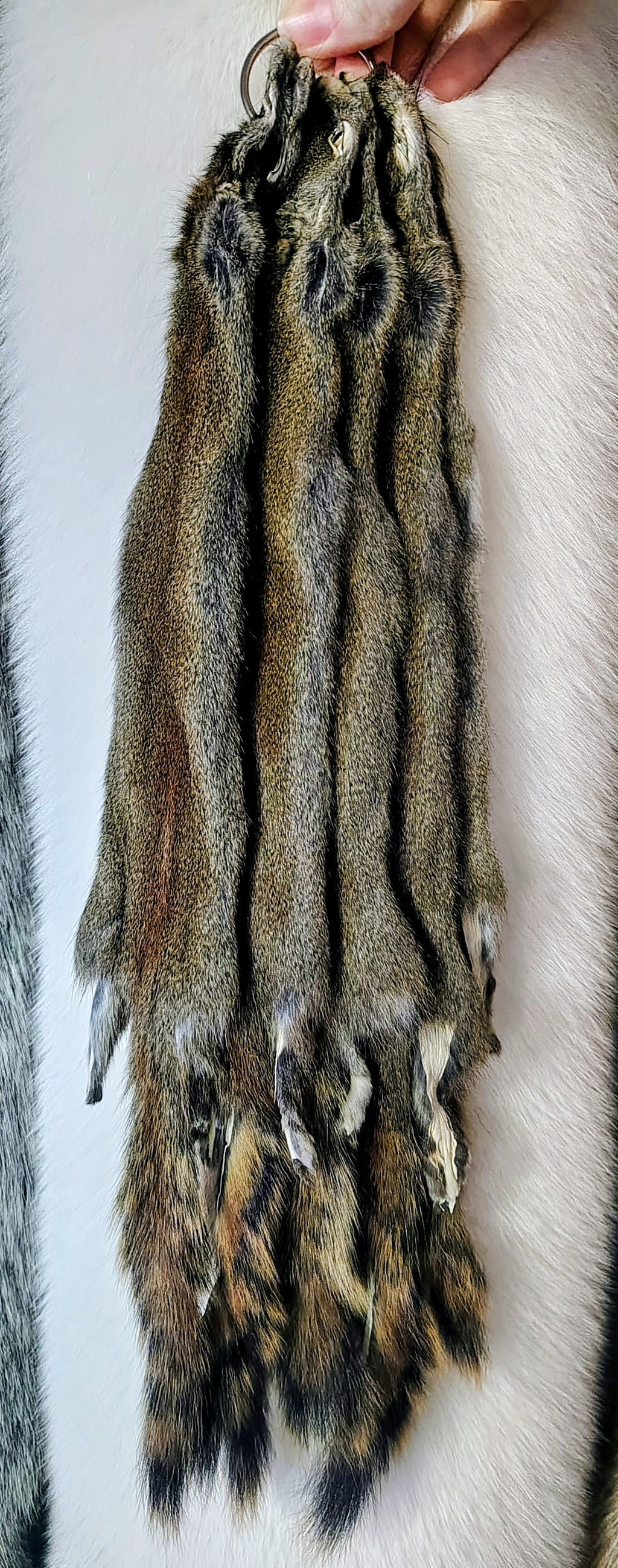 Tanned Pelts