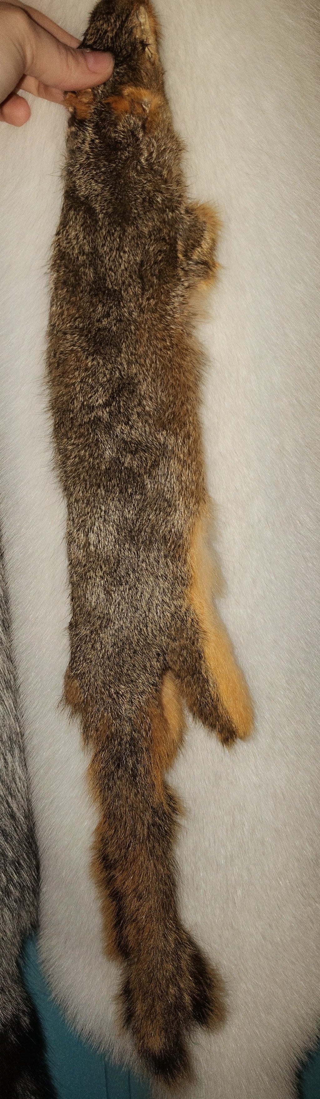 Tanned Pelts