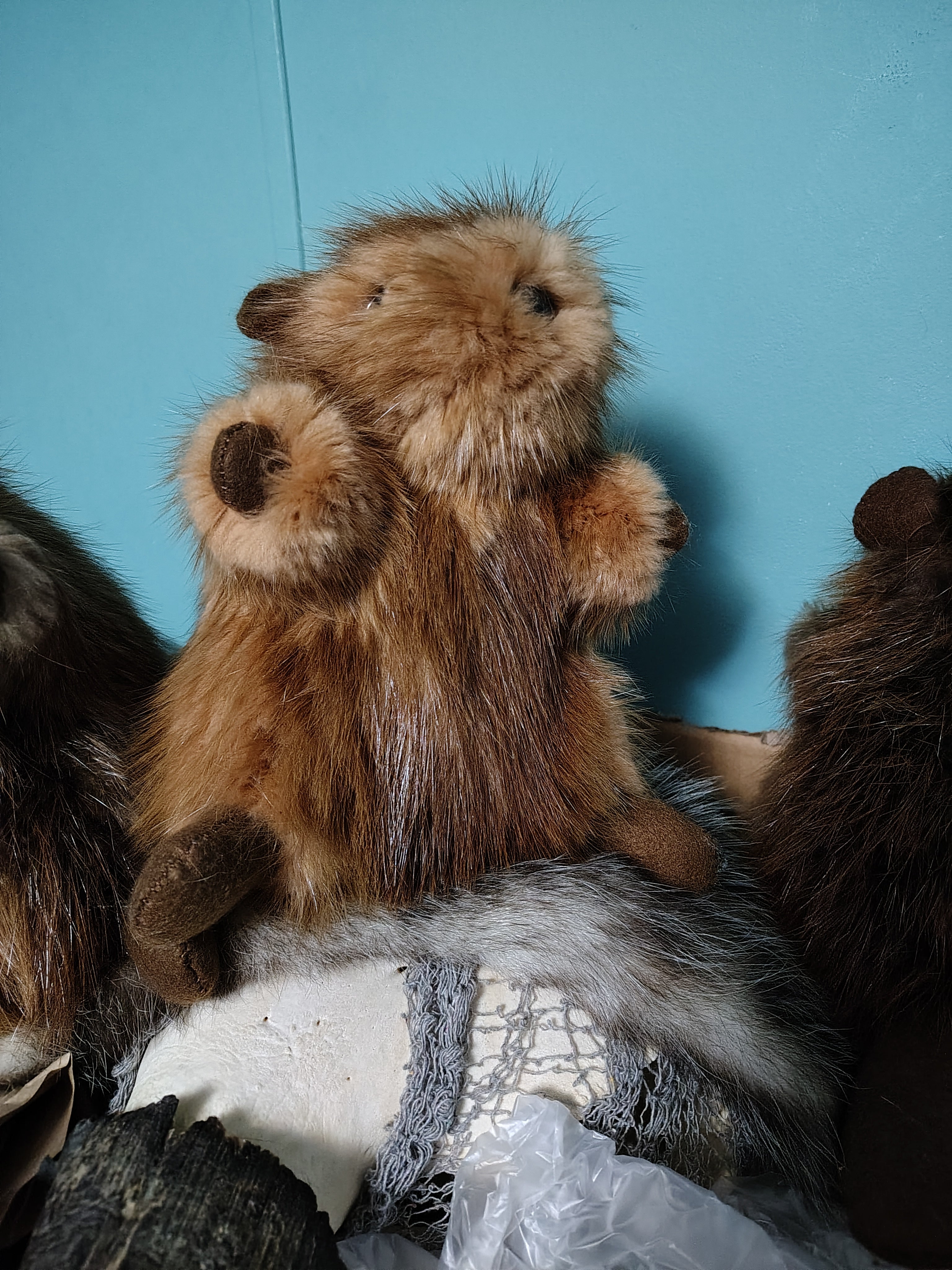 Real Beaver Fur Stuffed Animal