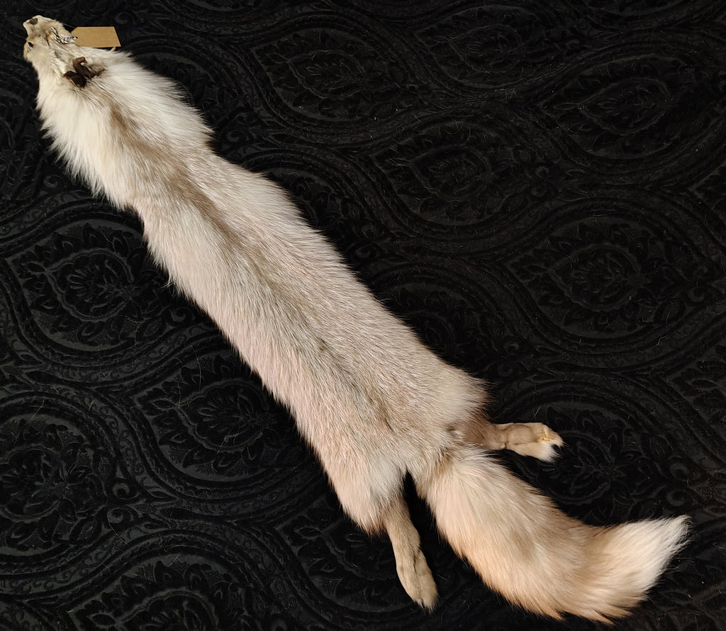 Tanned Pelts