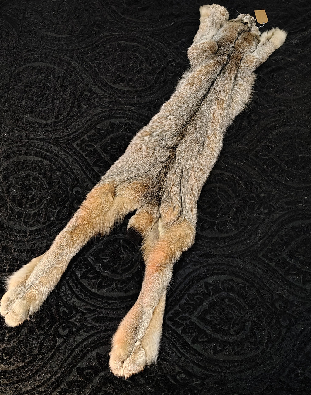 Tanned Pelts