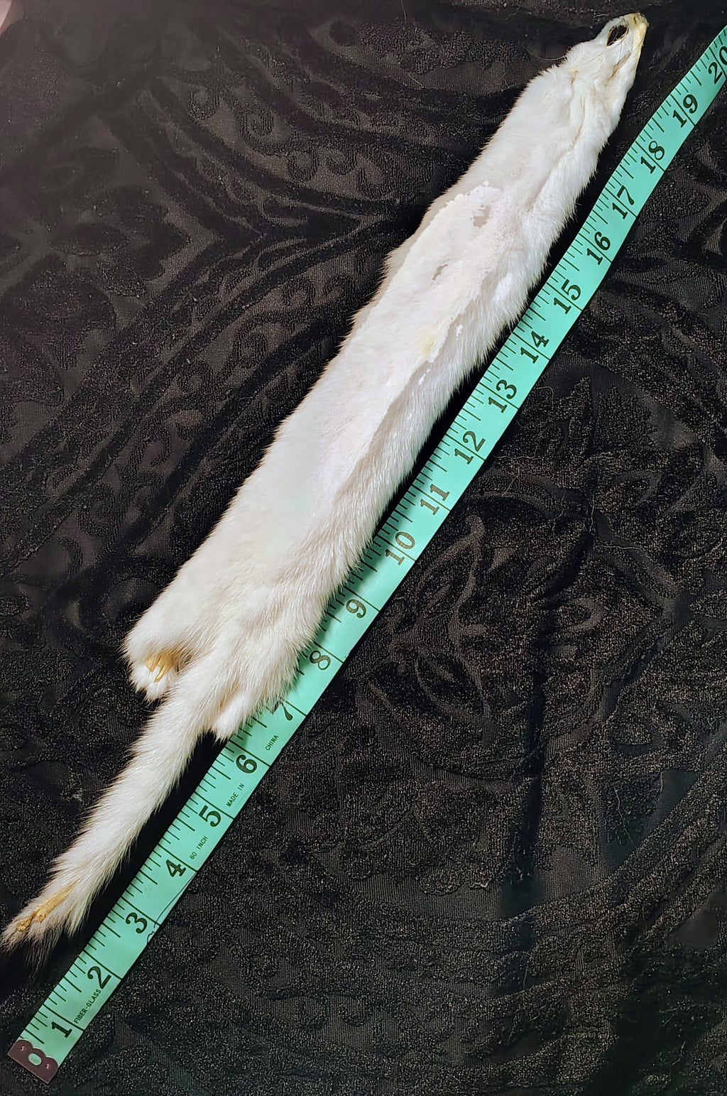 Tanned Pelts