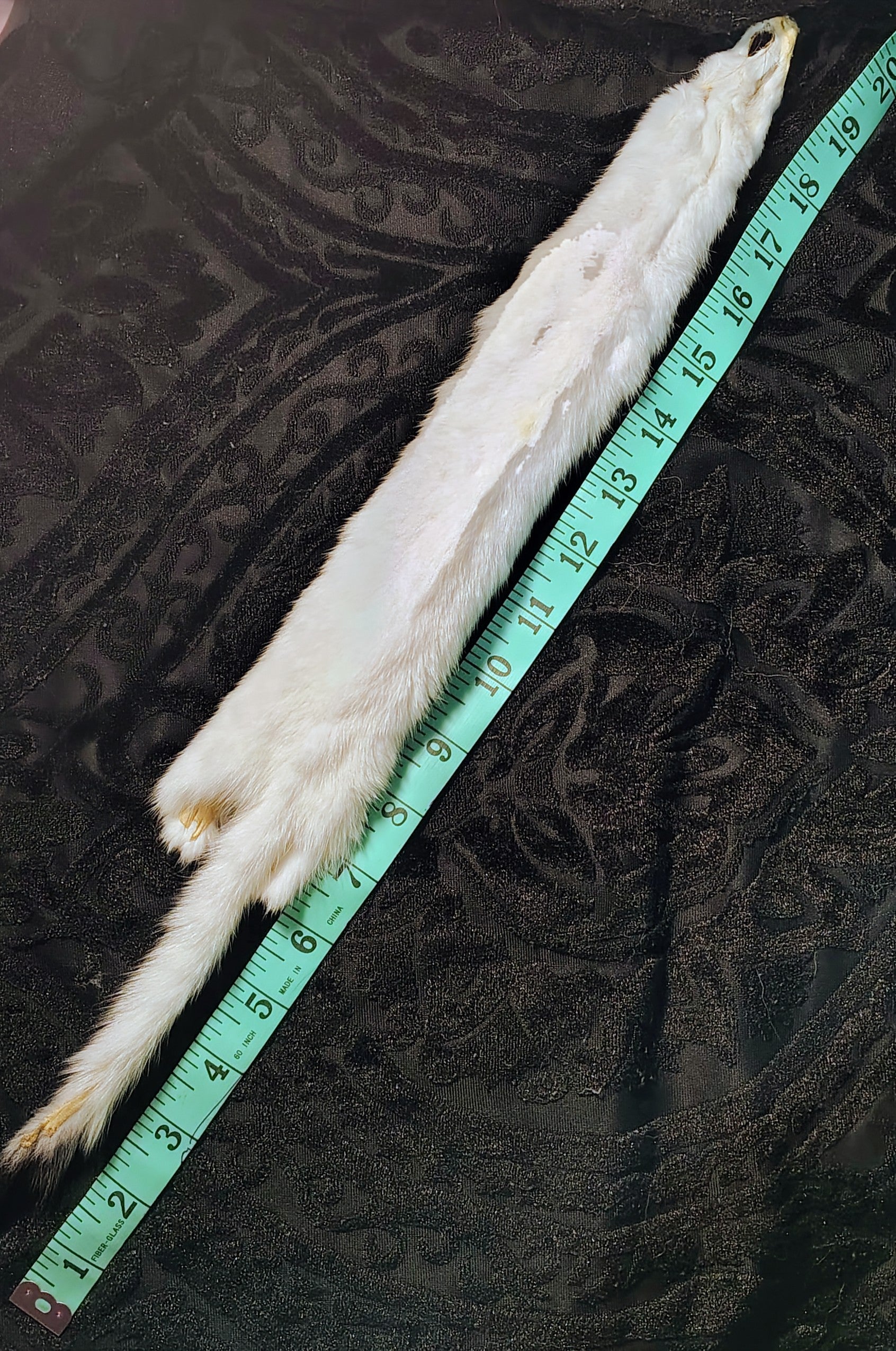 Tanned Pelts