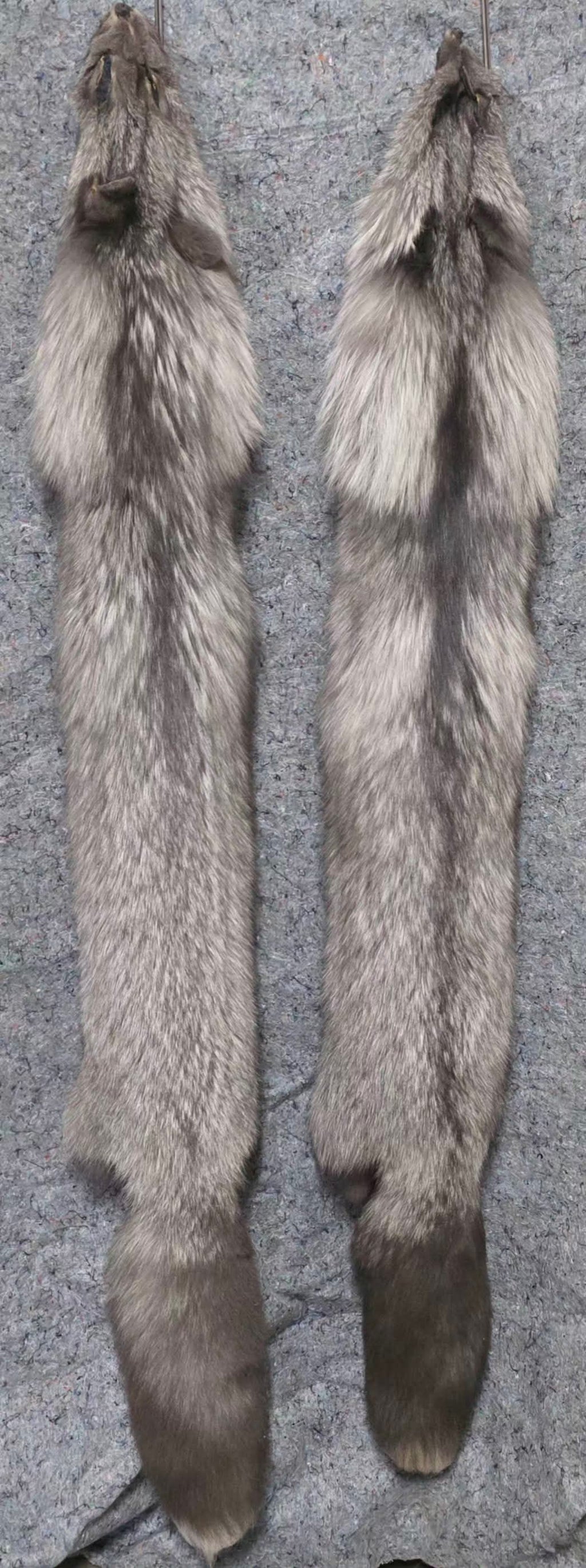 Tanned Pelts