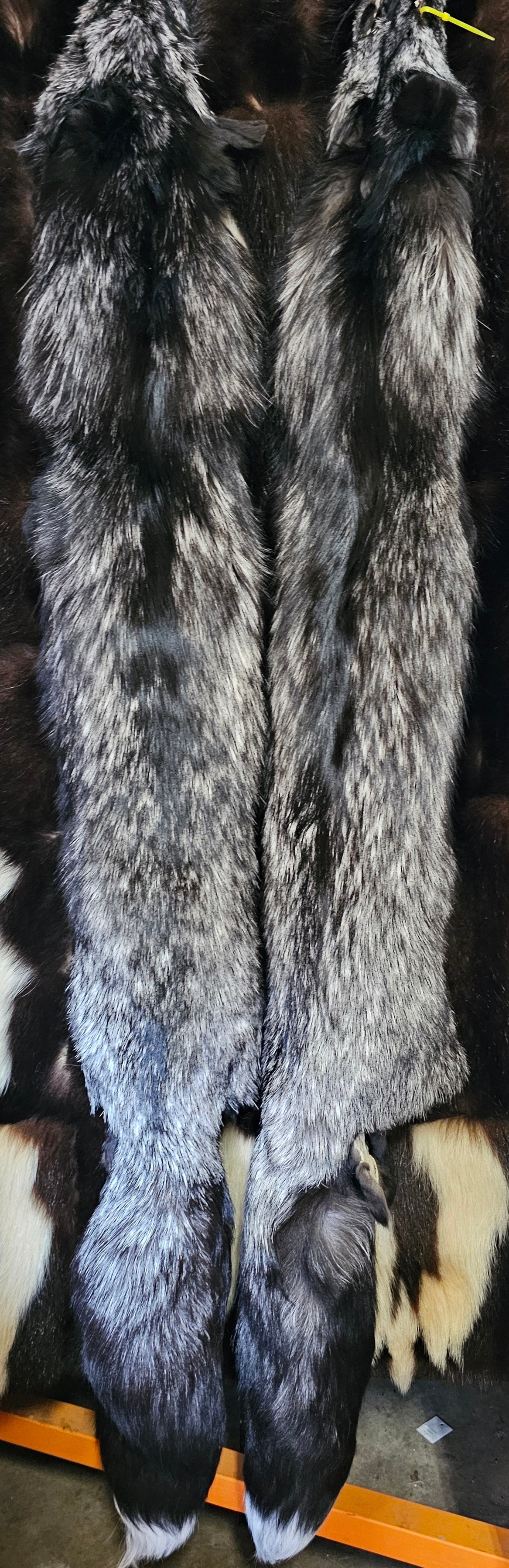 Tanned Pelts