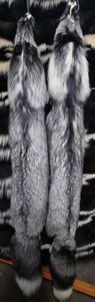 Tanned Pelts